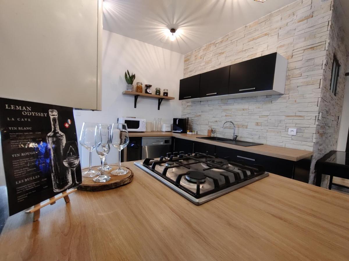 Appartement Hyper Centre Evian - Leman Odyssey Екстер'єр фото
